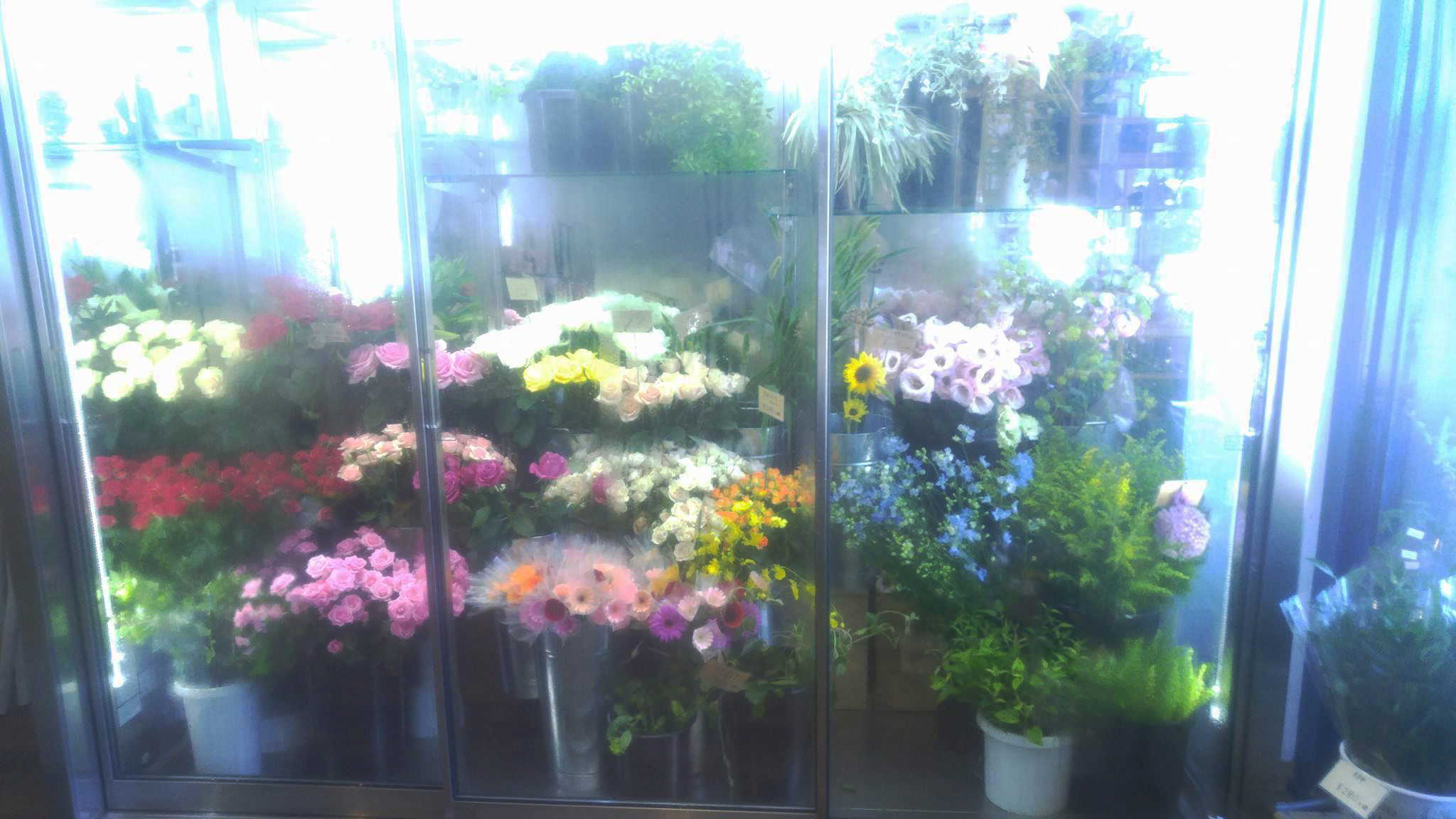 ㈲たちばなファーム